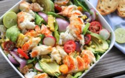grilled florida lobster salad