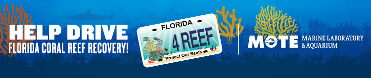 mote - protect our reefs npr the zest