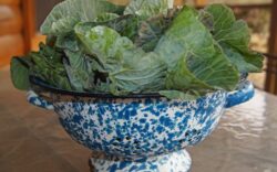 a photo of a bowl of collard greens